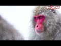 Khám Phá Các Môi Trường Sinh Thái