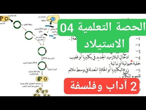 الاستيلاد للسنة الثانية آداب وفلسفة