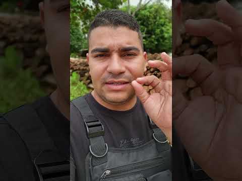 MUITA GENTE NÃO COMPREENDE SUS SINCERIDADE!
