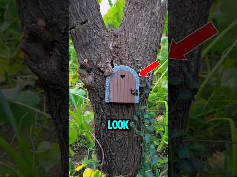 Rabbit house on the TREE... ๐