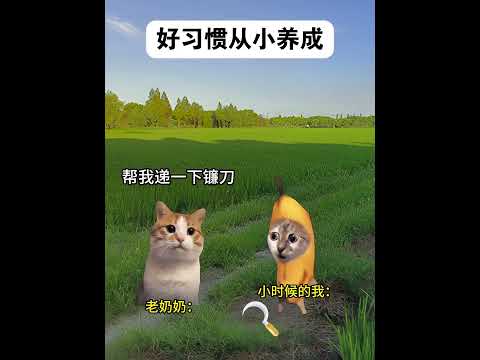 猫の習慣と魅力を楽しく学べる面白短劇｜実話と笑いを交えて サムネイル