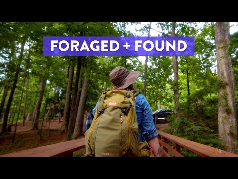 Foraged + Found | Sunny Mullarkey