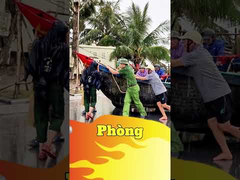 Bão Wipha Gây Mưa Lớn #tiendung12 #tintuc #bão #baowipha #tinbaomoinhat