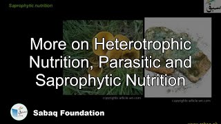 More on Heterotrophic Nutrition, Parasitic and Saprophytic Nutrition