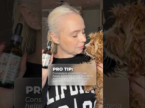 DAILY ORAL SUPPLEMENT FOR DOGS AND CATS #pets #dogcare #faq #petparents #petsociety