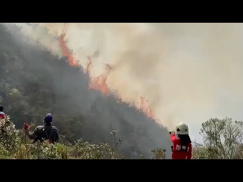 Peruvian firefighters battle Amazon fires that have killed at least 15