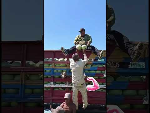 La mentablemente asi es la Vida pero mis respetos para estos trabajadores amen 🙏🏼 #trabajo #fyp