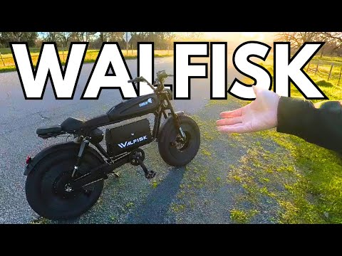 Everything you need to know about the Walfisk ET-7
