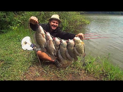 TILÁPIAS PRÉ-HISTORICAS ,MONSTRO ABRIU ANZOL,QUEBRA VARA ,ESSA ISCA NÃO FALHA