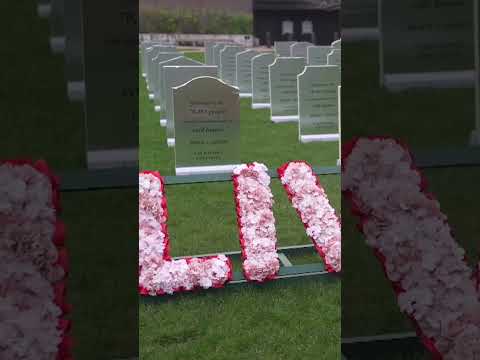 Mock graveyard built outside Westminster by Greenpeace activists