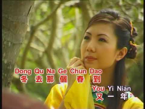 龙飘飘  梨山痴情花【Original Karaoke】