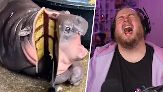 Purplecliffe Loses a Pokemon Every Time He Laughs LIVE #38