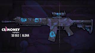 SG 553 Aloha Gameplay