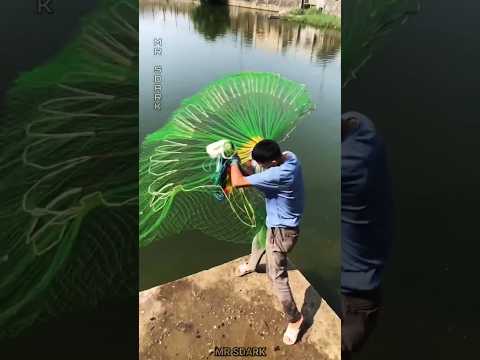 मछली पकड़ने का देसी तरीका 😍 #shorts #ytshorts #youtubeshorts #fishing #foryou #trending #viral