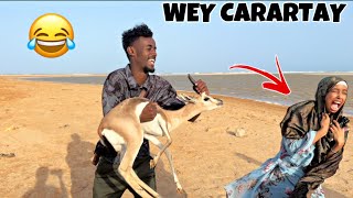 SUNDUS OO KABAHEEDA KA CARARTAY QOSOLKA ADUNKA 😂