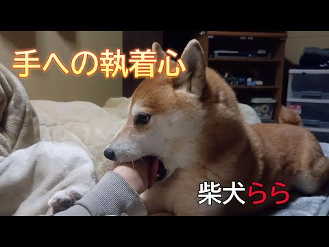 手への執着心