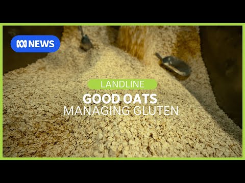 YouTube video thumbnail: Oats and the Challenge of Gluten Contamination 