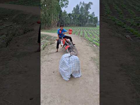 What did the boy see in the middle of the road and he fell out of the car?