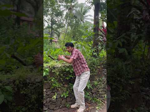 Tom&jerry അനിയന്‍മാരെ പറ്റിച്ചപ്പോള്‍😅 #javazinentertainment #comedy