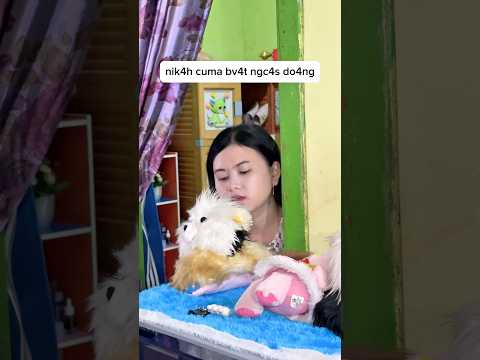 apa semuanya sama #tuanmomo #comedy #ngakak