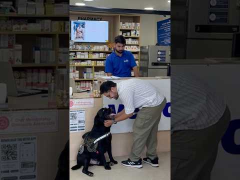 Lucky Loves Shopping #doglover #lucky