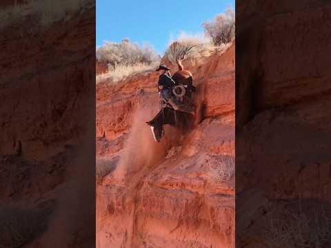 Would your horse do a front flip? #horses #horse #cowboy #mustanghorse (Performed by Professionals)