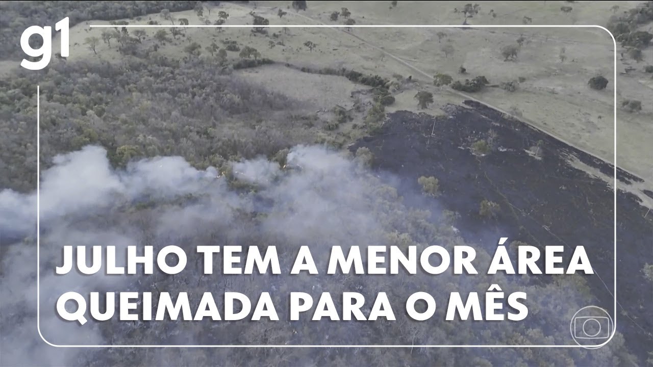 JH Brasil registra em julho a menor área queimada para o mês em 7 anos segundo o MapBiomas