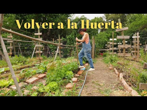 Volver a la Huerta y al Cultivo de Hongos comestibles | Disfrutar estos últimos meses acá