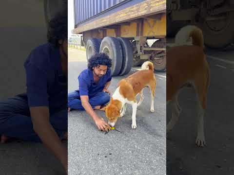 তারা আরাম করে ডিম খাচ্ছে।