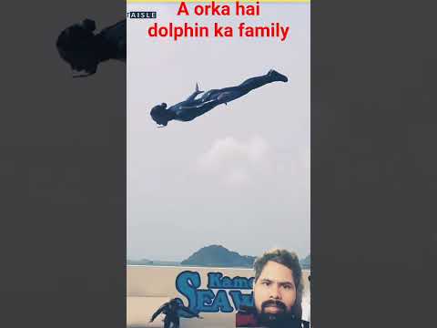 "Orca vs Dolphin | Kaun hai Samundar ka Asli King?"#facts #reactionvideo #realfoolsteam