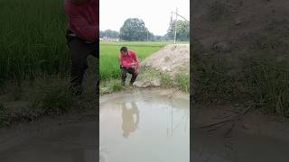 अगल बगल कोई छुपा है #shortvideo #shorts #shortsfeed #Suman Bhauji