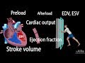 Understanding Cardiac Output