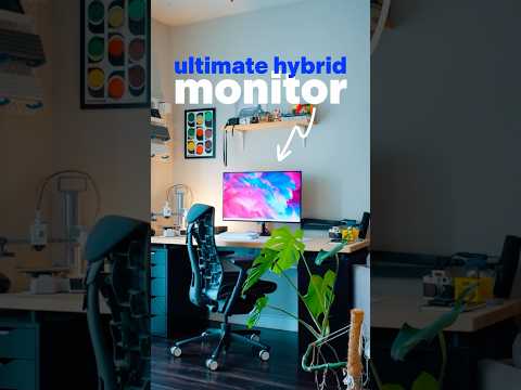 The Best All Around Monitor