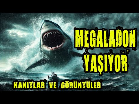 Megalodon YAŞIYOR: The 5 Essential Facts Every Shark Enthusiast Needs