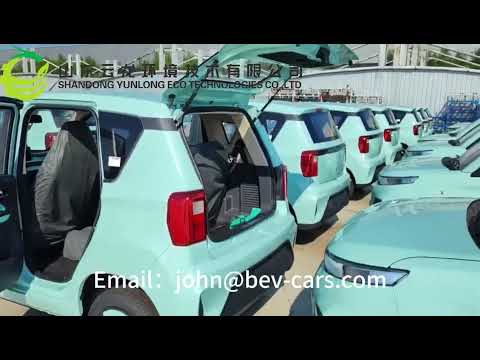 5 Door 4 seater mini electric vehicle electric city car - Brumby