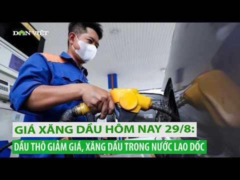 Giá xăng dầu hôm nay 29/8: Dầu thô giảm giá, xăng dầu trong nước lao dốc