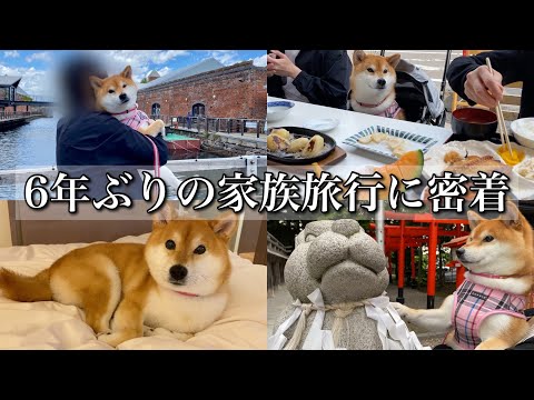 【柴犬】6年ぶりの家族旅行で北海道大満喫してきました！