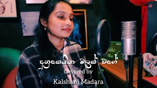 දුනුකෙයියා මලක් වගේ | Dunukeiya Malak Wage | Kalshani Madara Aberathna | Cover song