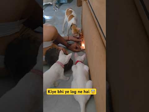 Kiye bhi ye log ne hai 😰