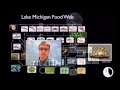 Understanding Interdependent Relationships in Ecosystems