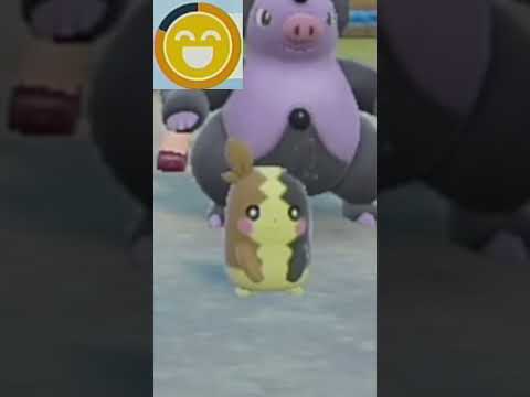 thumbnail_vFrqY4e-FPk