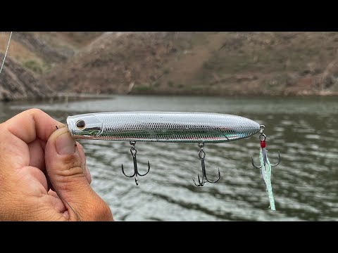 Esta es la Técnica Favorita de Mexangler! | Pesca de Superficie