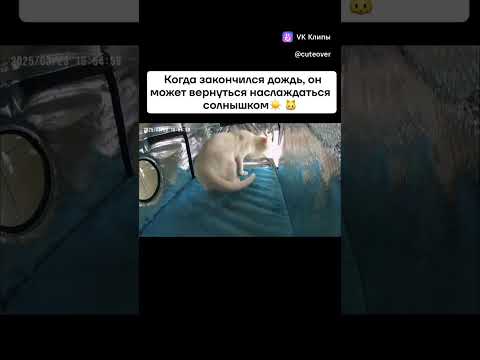 добрая история, хороший сюжет