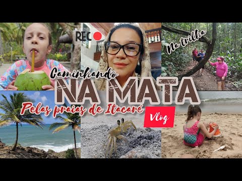 TROCANDO DE PRAIAS🌴 MINHA PRIMEIRA MISSA EM ITACARÉ🌴DIA DE TRILHA NA FLORESTA😅 ÁGUA VIVA E SIRI🦀VLOG