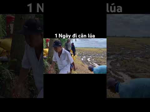 1 ngày làm công việc của ba mẹ #mientay #kiniem