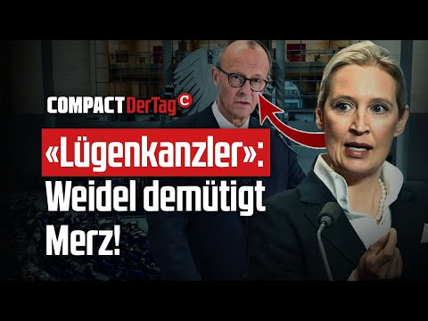 «Lügenkanzler»: Weidel demütigt Merz!💥