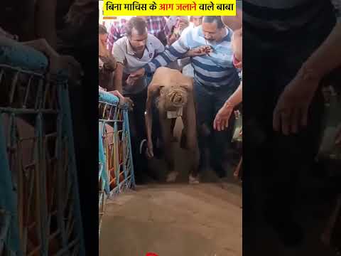 110 साल के संत सियाराम बाबा #baba #siyaram #shorts