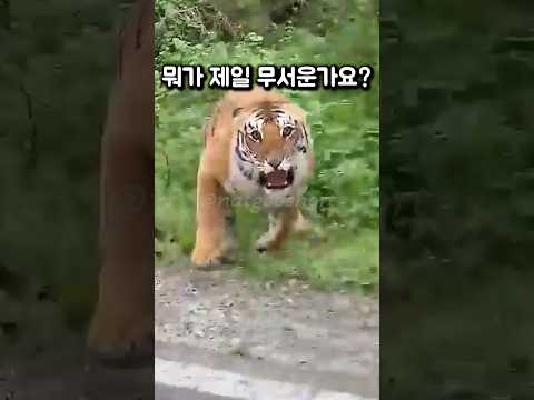 길 가다 만났을때 제일 무서운 놈은?