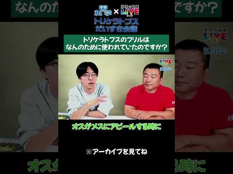 フリルは何のために使われた？頭の上の大きな板って？