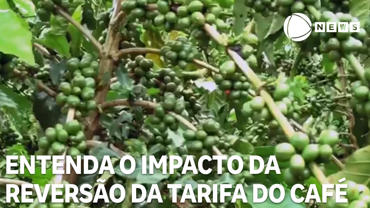Entenda o impacto da reversão da tarifa para o café